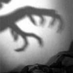 Ác Mộng Kinh Hoàng