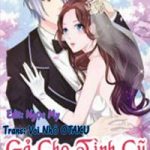 Gả Cho Tình Cũ Làm Lão Bà