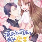 Boss Là Kim Chủ Của Tôi