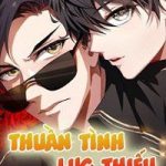 Thuần tình Lục thiếu