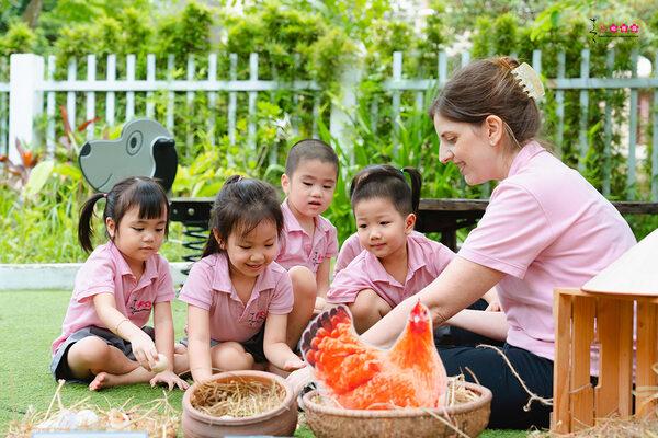 alt: Trẻ em tham gia hoạt động trải nghiệm thực tế tại nông trại
