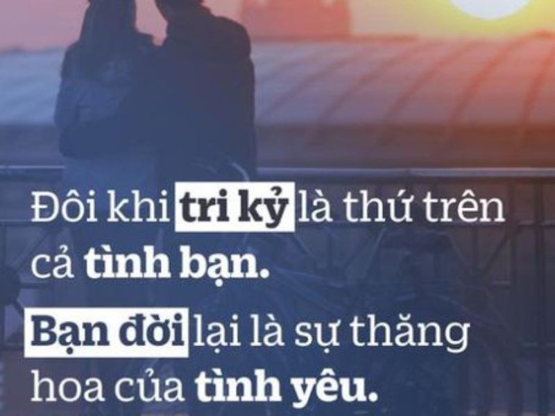 Bạn đời và tri kỷ