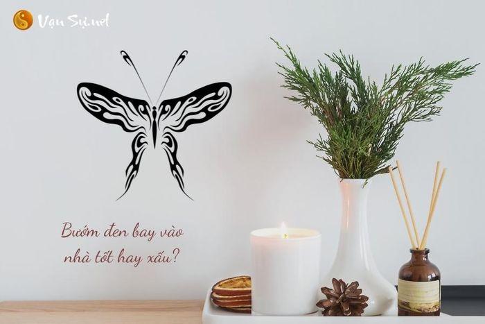 Bướm đen bay vào nhà - Lời nhắc nhở