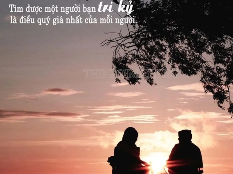 Chấp nhận sự bất đồng