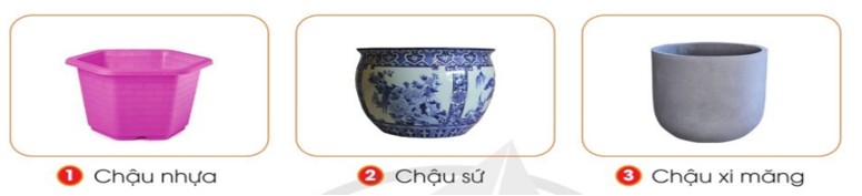 Đặc điểm của chậu trồng hoa và cây cảnh bằng nhựa là gì?