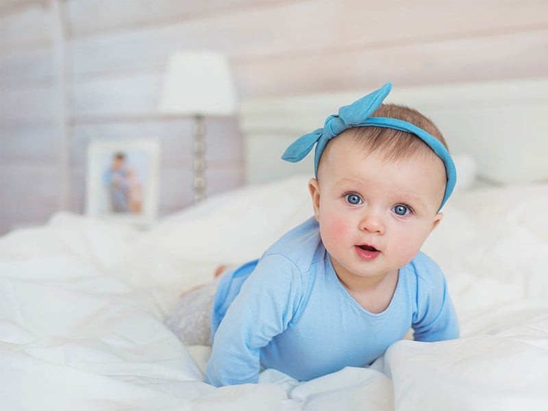 Hươu cao cổ trong môi trường sống tự nhiên
