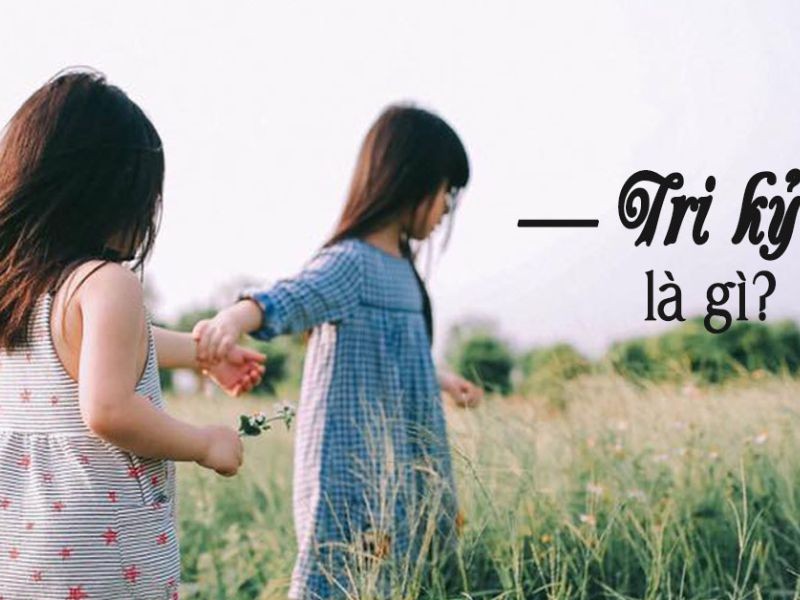Tri Kỷ Là Gì? Tìm Hiểu Về Mối Quan Hệ Tri Kỷ