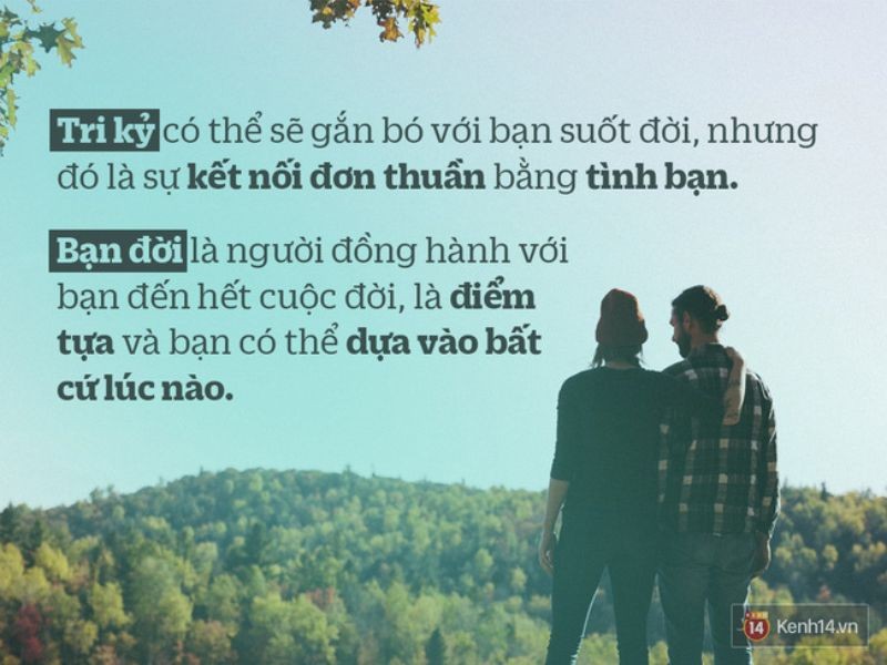 Tri kỷ và bạn đời